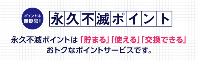 永久不滅ポイント説明画像