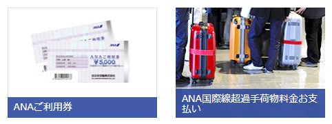 ANAご利用券と空港関連特典画像