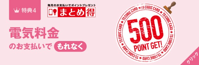 電気料金の支払いで500ポイント説明画像