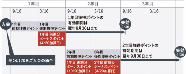 有効期限説明画像