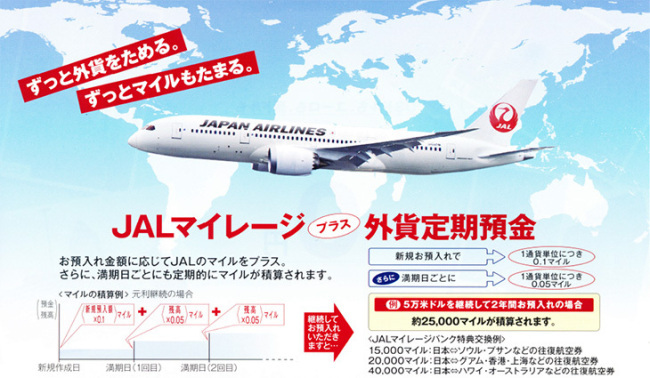 大垣共立銀行マイル貯まる説明画像