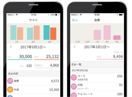 レシーカ出費サマリ画面