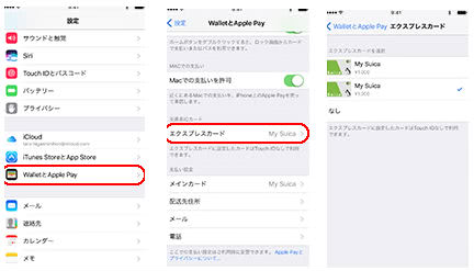 Apple Payエクスプレス設定説明画像
