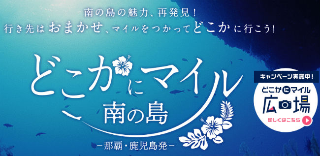 どこかにマイル南の島~那覇・鹿児島発説明画像