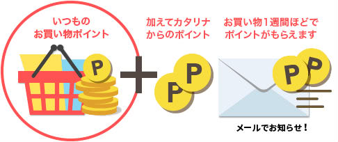 カタリナでポイント2重取り説明画像