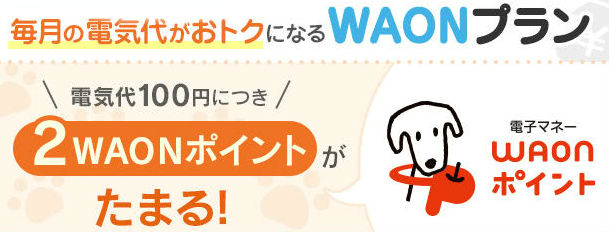 九電みらいエナジーでWAON貯まる説明画像