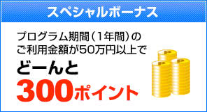 300ポイントボーナス