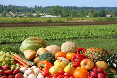 ANAふるさと納税でマイルが貯まる！寄付100円につき1マイル