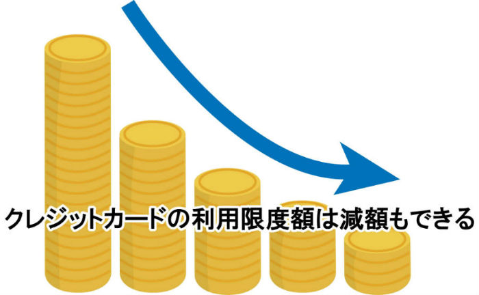限度額は減額も可能説明