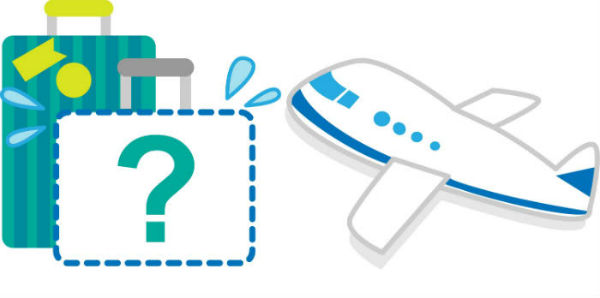 ロストバケージ保険説明