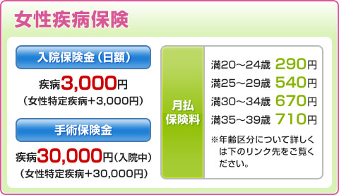 JCB CARD W/plusL オプションサービス